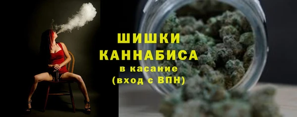 шишки Богородск