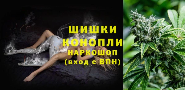 шишки Богородск