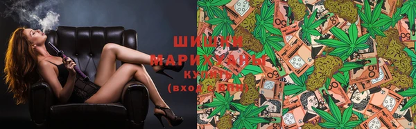 Альфа ПВП Белокуриха
