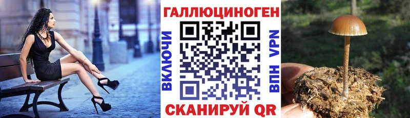 Галлюциногенные грибы MAGIC MUSHROOMS  купить  сайты  Билибино 
